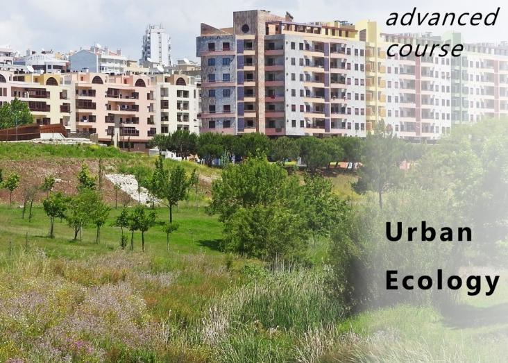 Urban Ecology: the green within the city 2022-2023